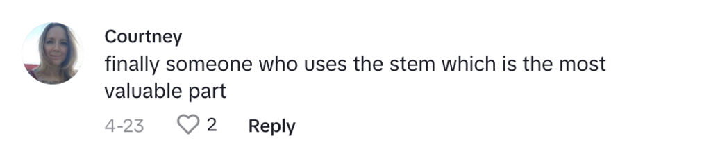 TikTok comment